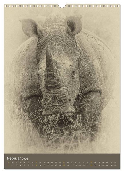 Produktbild: Afrikas Tierwelt - Sepia-Art (Wandkalender 2026 DIN A3 hoch), CALVENDO Monatskalender