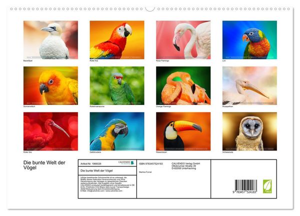 Produktbild: Die bunte Welt der V&ouml;gel (hochwertiger Premium Wandkalender 2026 DIN A2 quer), Kunstdruck in Hochglanz