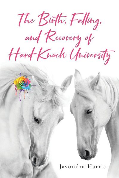 Produktbild: The Birth, Falling, and Recovery of Hard-Knock University