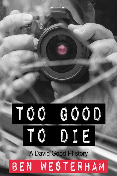 Produktbild: Too Good to Die (David Good private investigator, #3)