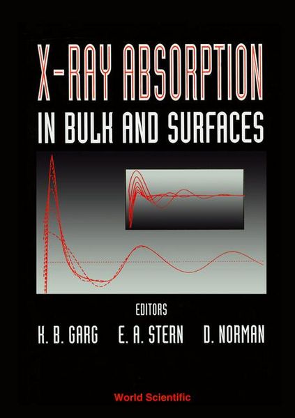 Produktbild: X-Ray Absorption in Bulk and Surfaces - Proceedings of the International Workshop