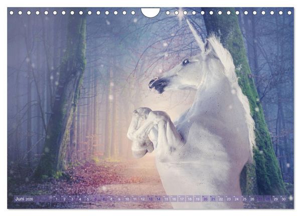Produktbild: Einhorn Love - Fantasiewelt (Wandkalender 2026 DIN A4 quer), CALVENDO Monatskalender