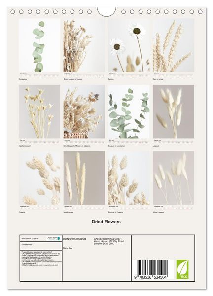 Produktbild: Dried Flowers (Wall Calendar 2026 DIN A4 portrait), CALVENDO 12 Month Wall Calendar