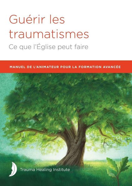 Produktbild: Manuel De L'animateur Pour La Formation Avanc&eacute;e