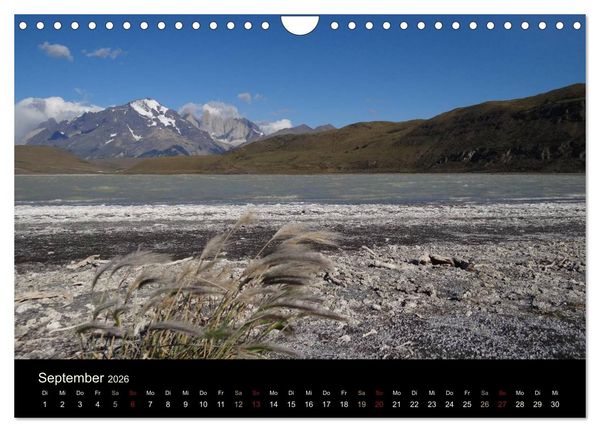 Produktbild: Im Nationalpark Torres del Paine (Chile) (Wandkalender 2026 DIN A4 quer), CALVENDO Monatskalender