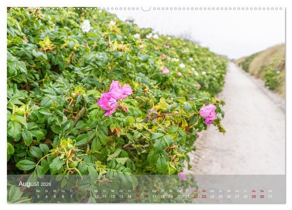 Produktbild: Inseelfeeling - Hiddensee (Wandkalender 2026 DIN A2 quer), CALVENDO Monatskalender