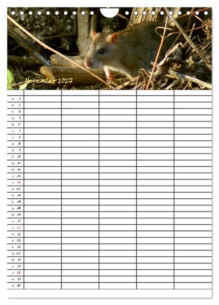 Produktbild: Bauernhoftiere Familienplaner (Wandkalender 2027 DIN A4 hoch), CALVENDO Monatskalender