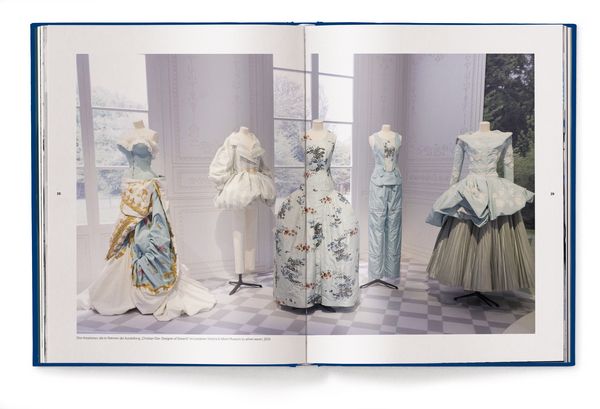 Produktbild: Dior Bags: Der ultimative Guide