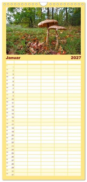 Produktbild: Familienplaner 2027 - Heimische Pilze mit 5 Spalten (Wandkalender, 21 x 45 cm) CALVENDO
