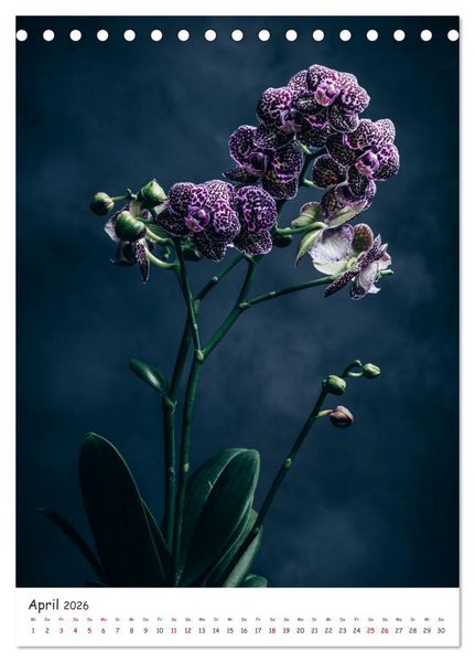 Produktbild: Orchideen Zauber (Tischkalender 2026 DIN A5 hoch), CALVENDO Monatskalender