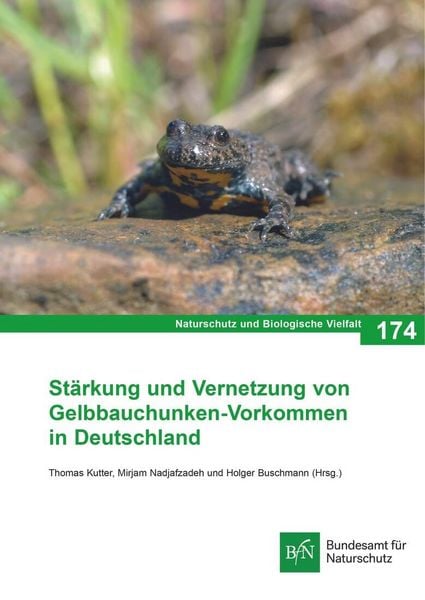 Produktbild: NaBiV Heft 174 St&auml;rkung und Vernetzung von Gelbbauchunken-Vorkommen in Deutschland
