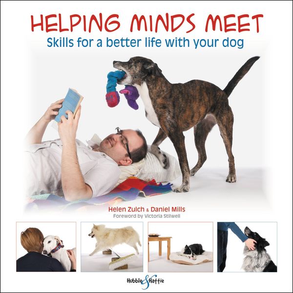 Produktbild: Helping Minds Meet