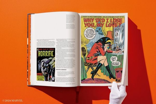 Produktbild: Marvel Comics Library