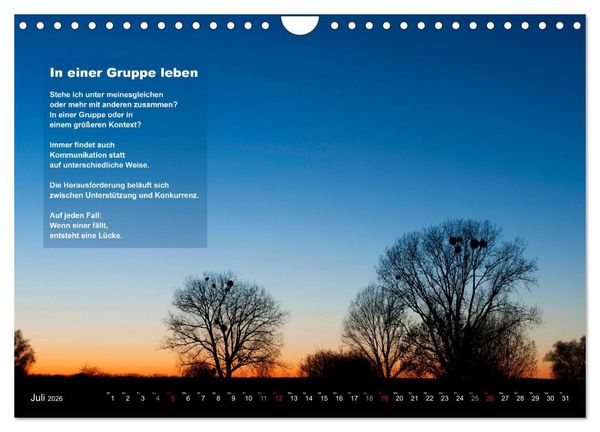 Produktbild: Stehen wie ein Baum (Wandkalender 2026 DIN A4 quer), CALVENDO Monatskalender