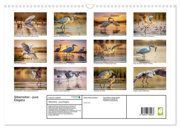 Produktbild: Silberreiher - pure Eleganz (Wandkalender 2027 DIN A3 quer), CALVENDO Monatskalender