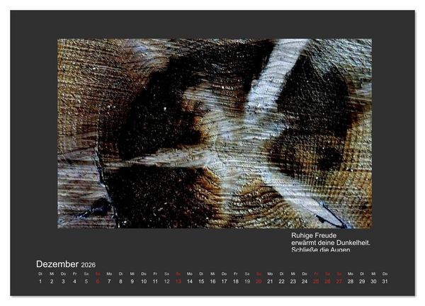 Produktbild: MAGIE HOLZ 2026 (Wandkalender 2026 DIN A3 quer), CALVENDO Monatskalender