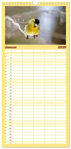 Produktbild: Familienplaner 2026 - Erlenzeisige mit 5 Spalten (Wandkalender, 21 x 45 cm) CALVENDO