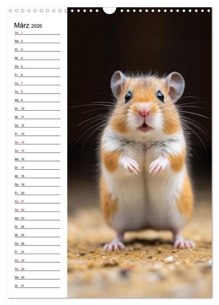 Produktbild: Ganz von vorn (Wandkalender 2026 DIN A3 hoch), CALVENDO Monatskalender