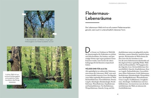 Produktbild: Flederm&auml;use