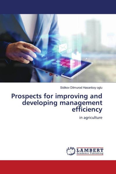 Produktbild: Prospects for improving and developing management efficiency