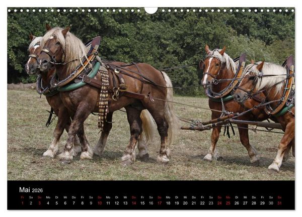 Produktbild: Starke Pferde bei der Arbeit (Wandkalender 2026 DIN A3 quer), CALVENDO Monatskalender