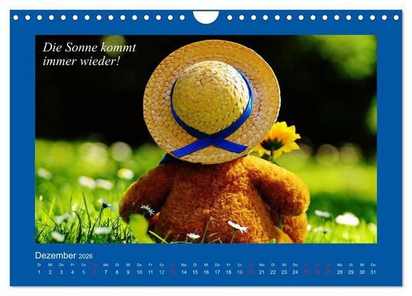 Produktbild: Sommer im Teddy-Land. B&auml;r und Freunde (Wandkalender 2026 DIN A4 quer), CALVENDO Monatskalender