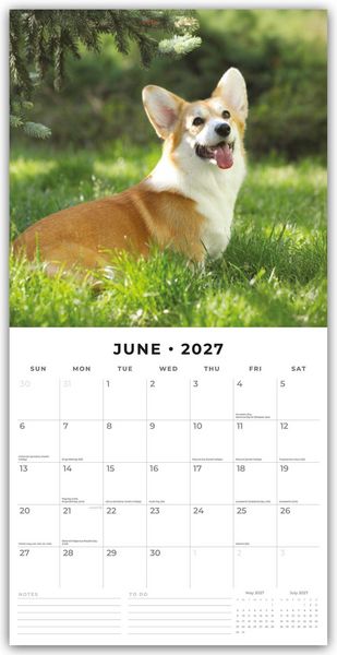 Produktbild: Pembroke Welsh Corgis &ndash; Pembroke Welsh Corgi 2027 &ndash; 16-Monatskalender