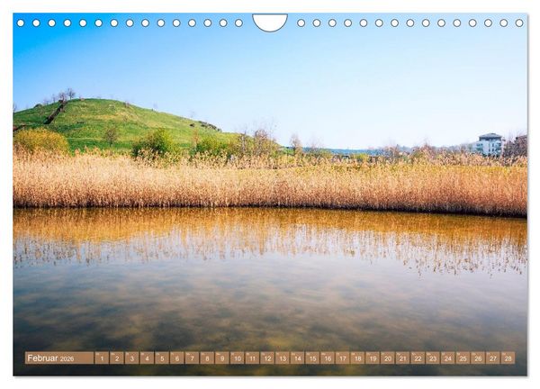 Produktbild: Faszination Ph&ouml;nixsee (Wandkalender 2026 DIN A4 quer), CALVENDO Monatskalender