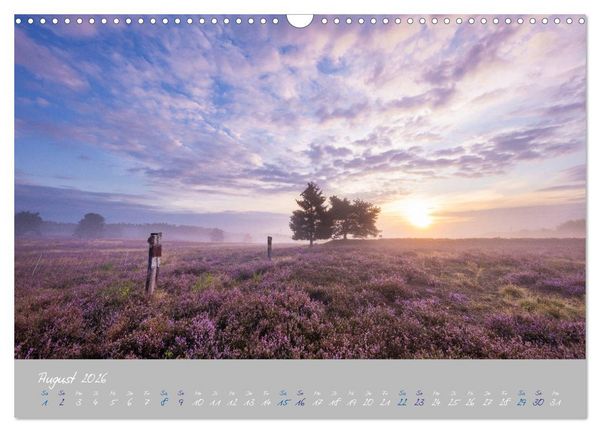Produktbild: Ausfl&uuml;ge in der Heimat - Die Pfalz (Wandkalender 2026 DIN A3 quer), CALVENDO Monatskalender