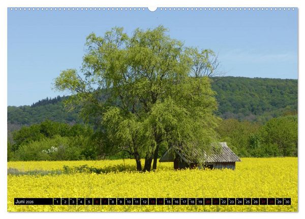 Produktbild: Badisch sympathisch Weingarten (hochwertiger Premium Wandkalender 2026 DIN A2 quer), Kunstdruck in Hochglanz