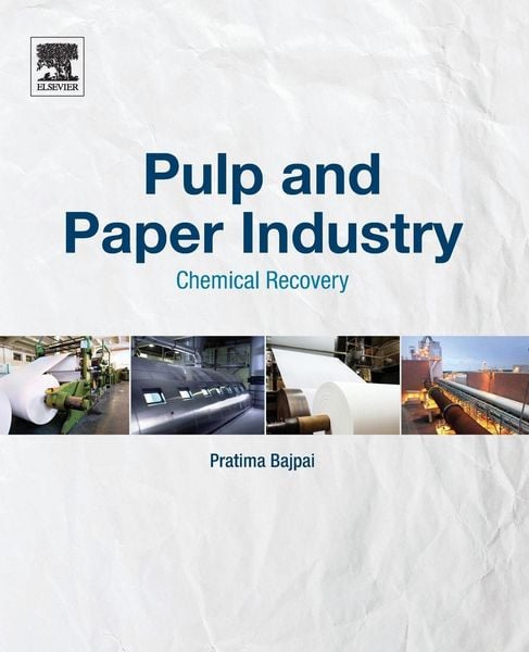 Produktbild: Pulp and Paper Industry