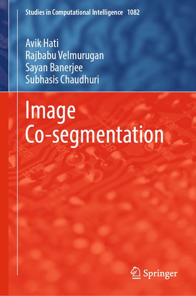 Produktbild: Image Co-segmentation
