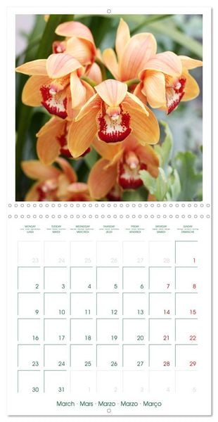 Produktbild: Orchid&eacute;es fantastiques (Calendrier mural carr&eacute; 2026 30x30 cm) Calendrier double avec une page pour vos prises de notes