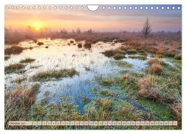 Produktbild: Deutschlands Moore (Wandkalender 2027 DIN A4 quer), CALVENDO Monatskalender