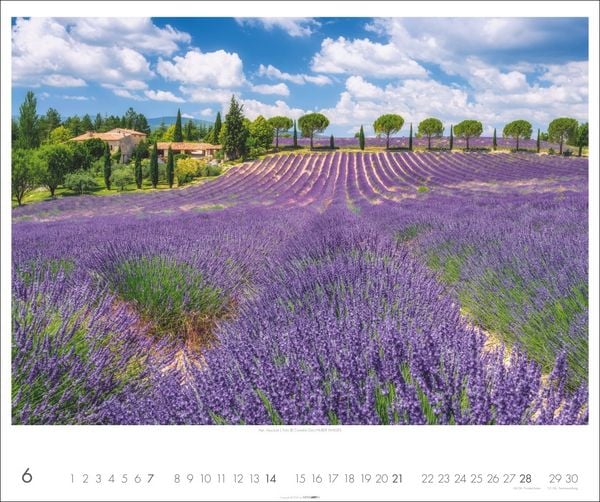 Produktbild: Provence Kalender 2026 - Blühende Lavendelfelder und malerische Dörfer