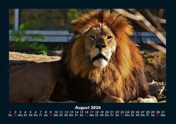 Produktbild: Welt der Tiere 2026 Fotokalender DIN A4