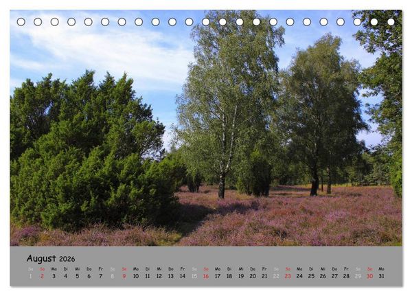 Produktbild: L&uuml;neburger Heide - sch&ouml;n zu jeder Jahreszeit (Tischkalender 2026 DIN A5 quer), CALVENDO Monatskalender