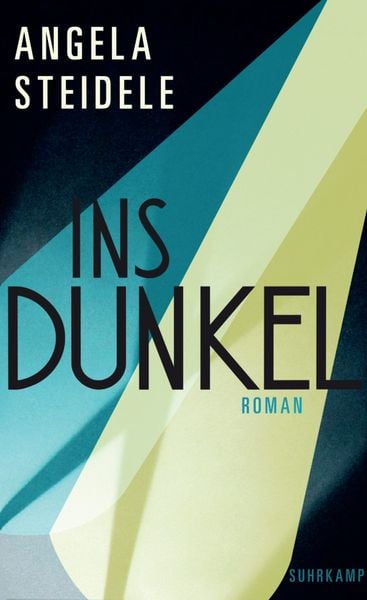 Produktbild: Ins Dunkel