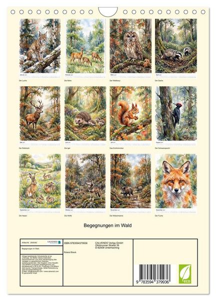 Produktbild: Begegnungen im Wald (Wandkalender 2027 DIN A4 hoch), CALVENDO Monatskalender