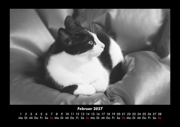 Produktbild: Welt der Tiere 2027 Fotokalender DIN A3