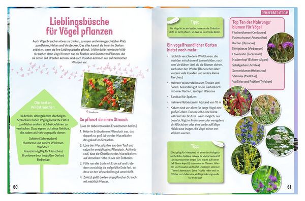 Produktbild: Erforsche die V&ouml;gel - Ihr Leben rund ums Jahr