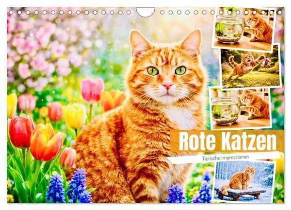 Rote Katzen (Wandkalender 2027 DIN A4 quer), CALVENDO Monatskalender