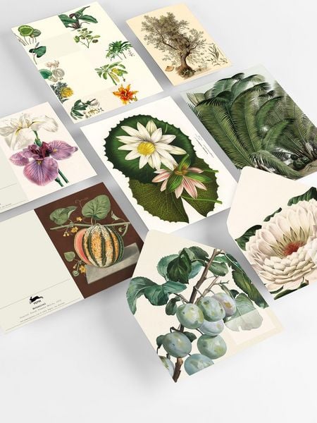 Produktbild: Botanical