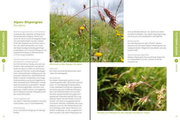 Produktbild: Praxisf&uuml;hrer Almpflanzen