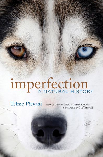 Produktbild: Imperfection