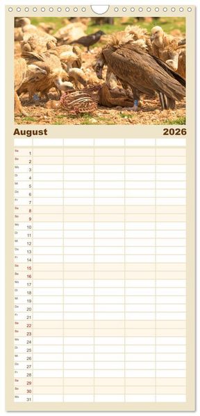 Produktbild: Familienplaner 2026 - Die Geier sind los mit 5 Spalten (Wandkalender, 21 x 45 cm) CALVENDO