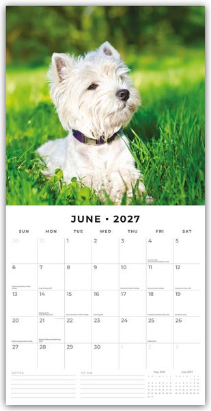 Produktbild: West Highland White Terriers &ndash; West Highland White Terrier &ndash; Westie 2027 &ndash; 16-Monatskalender