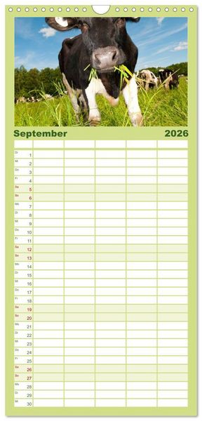 Produktbild: Familienplaner 2026 - K&uuml;he mit 5 Spalten (Wandkalender, 21 x 45 cm) CALVENDO
