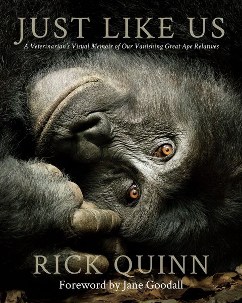 Produktbild: Just Like Us