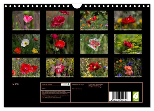 Produktbild: Mohn (Wandkalender 2026 DIN A4 quer), CALVENDO Monatskalender